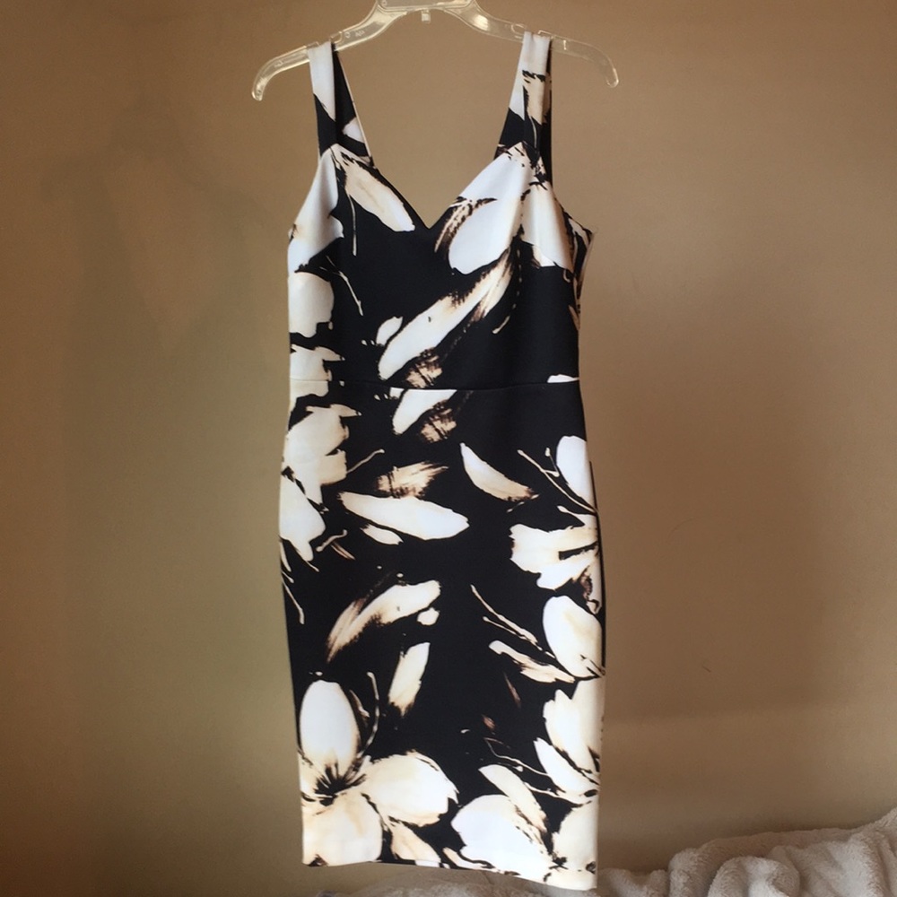 Ashley Graham Dress